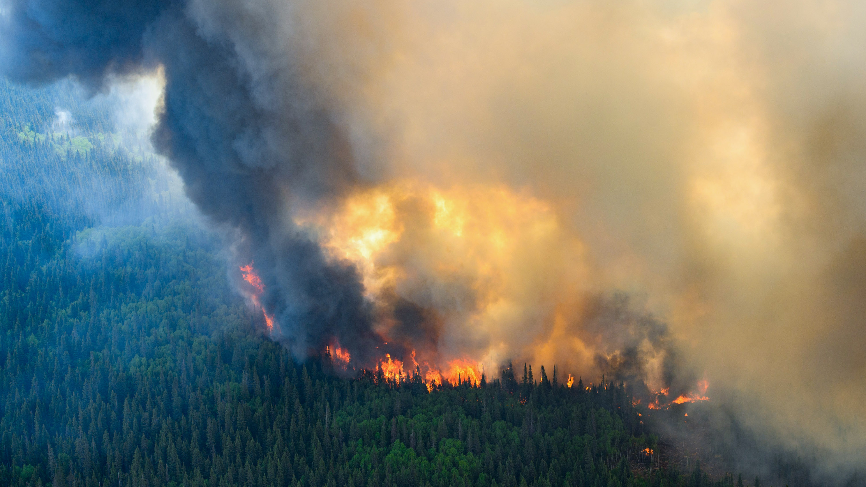 aerial image of 2023 wildfire in Quebec